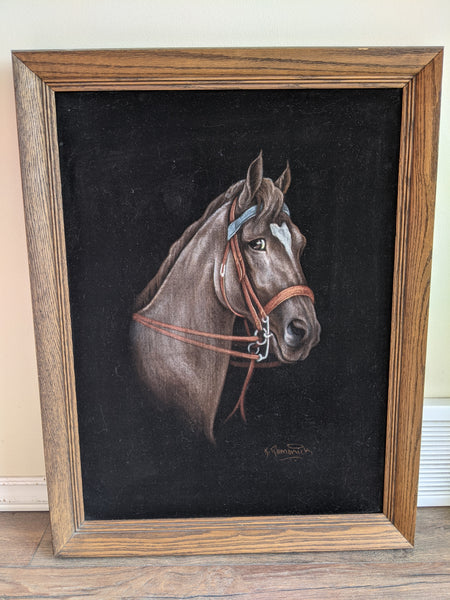 Framed Black Velvet Horse Portrait